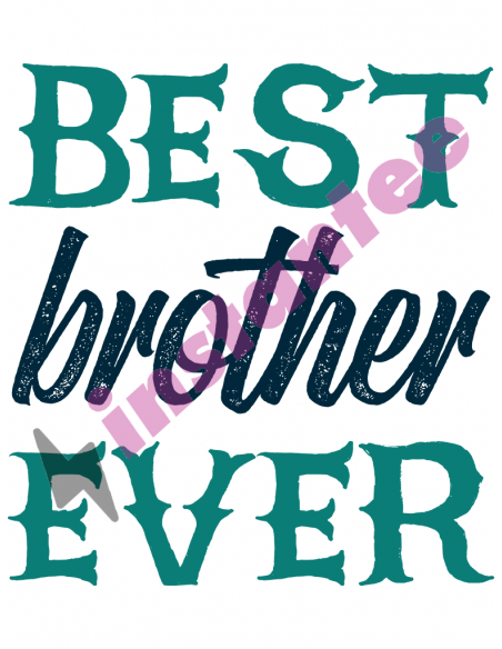Best Brother Ever