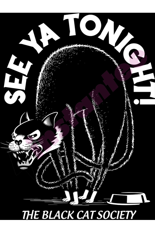 Black Cat Society