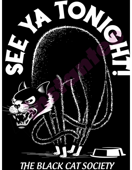 Black Cat Society