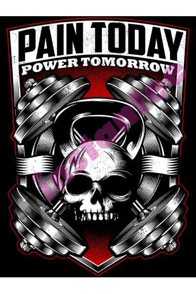 Pain Today Power Tomorrow 2
