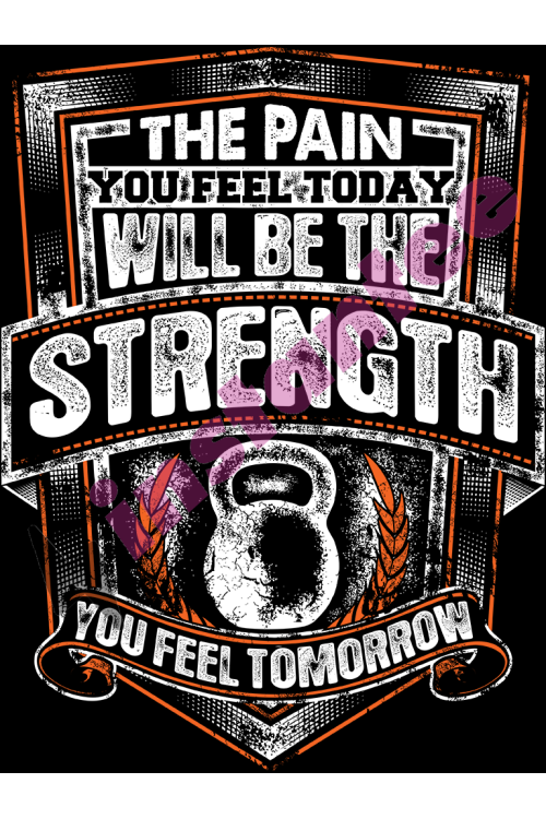 The Pain You Feel Today Will Be The Strength